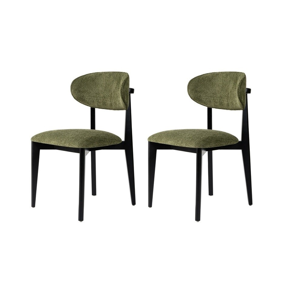 Sada jídelních židlí Lionte Green and Dark Oak