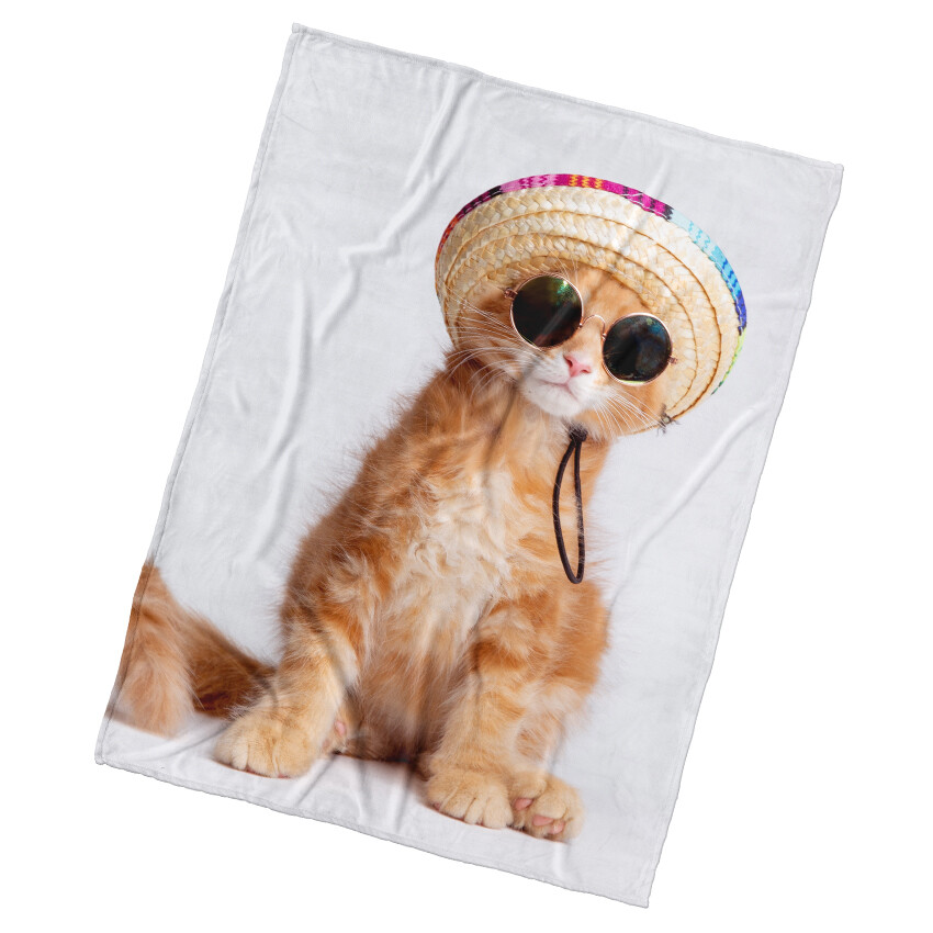 BedTex Dětská deka Koťátko Letní Elegance